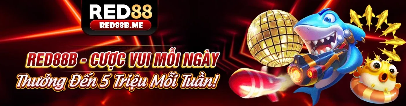 Hoàn trả hàng ngày b29.bet